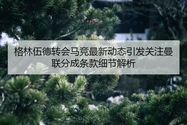 格林伍德转会马竞最新动态引发关注曼联分成条款细节解析