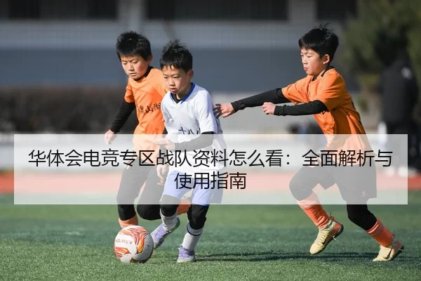 华体会电竞专区战队资料怎么看：全面解析与使用指南