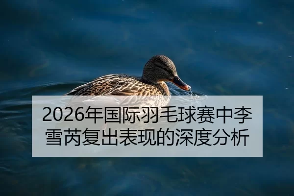 2026年国际羽毛球赛中李雪芮复出表现的深度分析