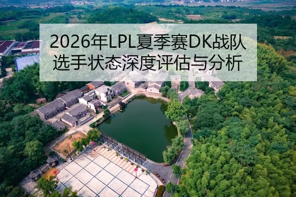 2026年LPL夏季赛DK战队选手状态深度评估与分析