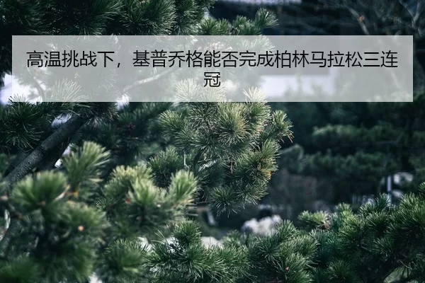 gao-wen-tiao-zhan-xia-ji-pu-qiao-ge-neng-fou-wan-cheng-bo-lin-ma-la-song-san-lian-guan-2-495.jpg