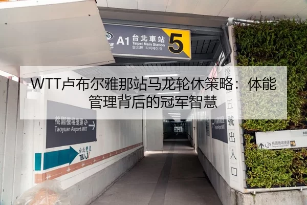 WTT卢布尔雅那站马龙轮休策略：体能管理背后的冠军智慧